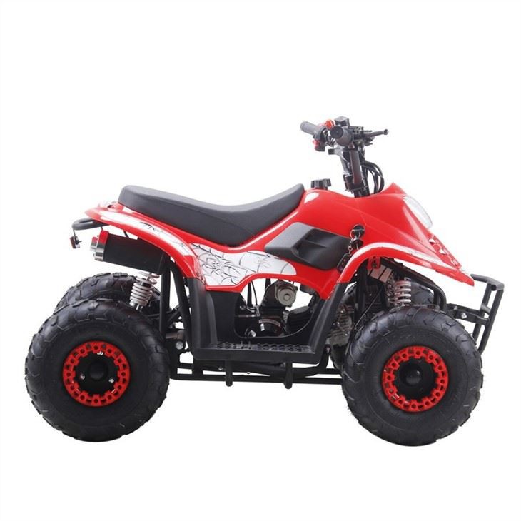 50cc 110cc quad ATV (5)